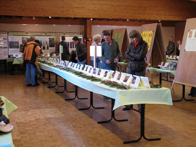 2009 10 Expo champignons de Clairefontaine 34